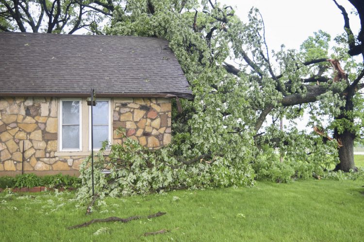 Possible tornado touches down near Eagle Grove News, Sports, Jobs